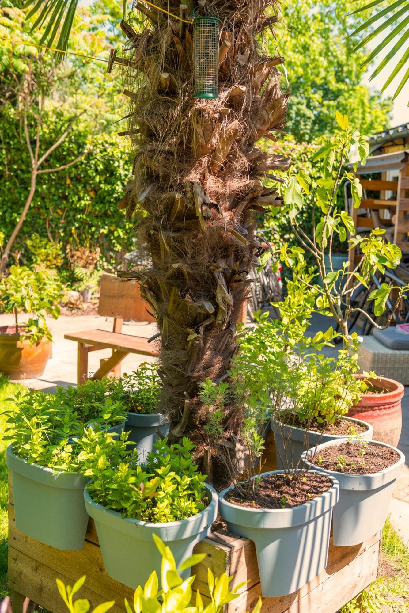 Cozy House - Leenfietsen, Eigen Keuken En Badkamer Nijmegen Ngoại thất bức ảnh